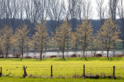 Frühling - Fotograf  Werner Ch. Buchwald