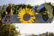 Apothekergarten - Fotograf  Werner Ch. Buchwald