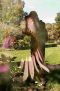 Apothekergarten - Fotograf  Werner Ch. Buchwald