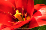 Farben - Fotograf Werner Ch. Buchwald
