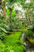 Frühjahr im Palmengarten - Fotograf Michael Häckl