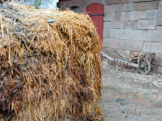 Fotowalk Hessenpark - Fotograf Albert Wenz