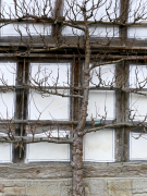 Fotowalk Hessenpark - Fotograf Henry Mann