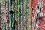 Fotowalk Hessenpark - Fotograf Joachim Clemens