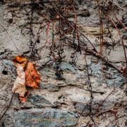 Fotowalk Hofheim (Brennweite 50 mm VF) - Fotografin Izabela Reich