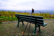 Rund um Schloss Johannisberg - Fotograf Henry Mann