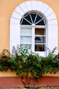 Rund um Schloss Johannisberg - Fotograf Henry Mann