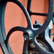 Rund um Schloss Johannisberg - Fotograf Henry Mann