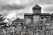 Rund um Schloss Johannisberg - Fotograf Henry Mann
