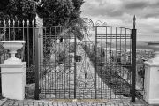 Rund um Schloss Johannisberg - Fotograf Henry Mann
