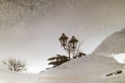 Rund um Schloss Johannisberg - Fotografin Jutta R. Buchwald