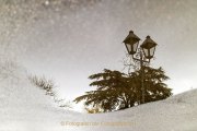 Rund um Schloss Johannisberg - Fotografin Jutta R. Buchwald