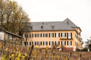 Rund um Schloss Johannisberg - Fotografin Jutta R. Buchwald
