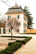 Rund um Schloss Johannisberg - Fotografin Jutta R. Buchwald