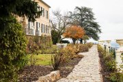 Rund um Schloss Johannisberg - Fotografin Jutta R. Buchwald