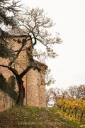 Rund um Schloss Johannisberg - Fotografin Jutta R. Buchwald
