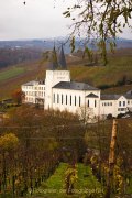 Rund um Schloss Johannisberg - Fotografin Jutta R. Buchwald
