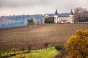 Rund um Schloss Johannisberg - Fotografin Jutta R. Buchwald