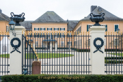Rund um Schloss Johannisberg - Fotograf Olaf Kratge