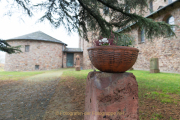 Rund um Schloss Johannisberg - Fotograf Olaf Kratge