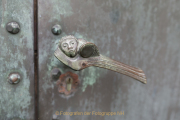 Rund um Schloss Johannisberg - Fotograf Olaf Kratge