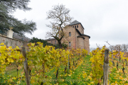 Rund um Schloss Johannisberg - Fotograf Olaf Kratge