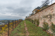 Rund um Schloss Johannisberg - Fotograf Olaf Kratge