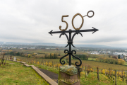 Rund um Schloss Johannisberg - Fotograf Olaf Kratge