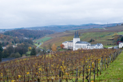 Rund um Schloss Johannisberg - Fotograf Olaf Kratge
