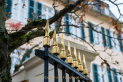 Rund um Schloss Johannisberg - Fotograf Olaf Kratge