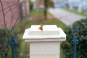 Rund um Schloss Johannisberg - Fotograf Olaf Kratge
