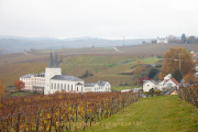 Rund um Schloss Johannisberg - Fotograf Thomas Stähler