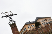 Rund um Schloss Johannisberg - Fotograf Thomas Stähler