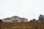 Rund um Schloss Johannisberg - Fotograf Thomas Stähler