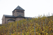 Rund um Schloss Johannisberg - Fotograf Thomas Stähler