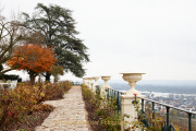 Rund um Schloss Johannisberg - Fotograf Thomas Stähler