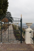 Rund um Schloss Johannisberg - Fotograf  Werner Ch. Buchwald