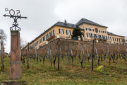 Rund um Schloss Johannisberg - Fotograf  Werner Ch. Buchwald