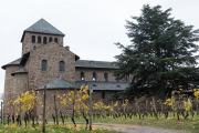 Rund um Schloss Johannisberg - Fotograf  Werner Ch. Buchwald