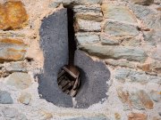 FW Kronberg - Fotografin Anne Jeuk