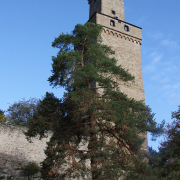 FW Kronberg - Fotograf Helmut Joa