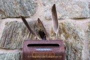 FW Kronberg - Fotograf  Clemens Schnitzler