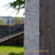 Fotowalk Kunstufer Bingen - Fotografin Nicole Gieseler