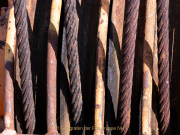 Fotowalk Kunstufer Bingen - Fotografin Anne Jeuk