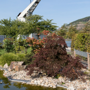 Fotowalk Kunstufer Bingen - Fotograf Werner Ch. Buchwald