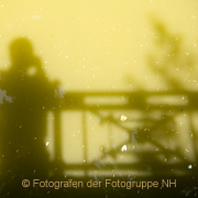 Fotowalk Kurpark Wiesbaden - Fotografin  Nicole Gieseler