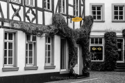 Fotowalk Auf den Spuren Gutenbergs in Mainz - Fotograf Joachim Würth