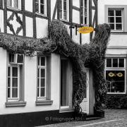 Fotowalk Auf den Spuren Gutenbergs in Mainz - Fotograf Joachim Würth