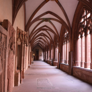 Fotowalk Auf den Spuren Gutenbergs in Mainz - Fotograf Christoph Fuhrmann
