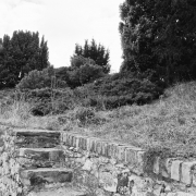 Fotowalk Steinberg - Fotograf Henry Mann